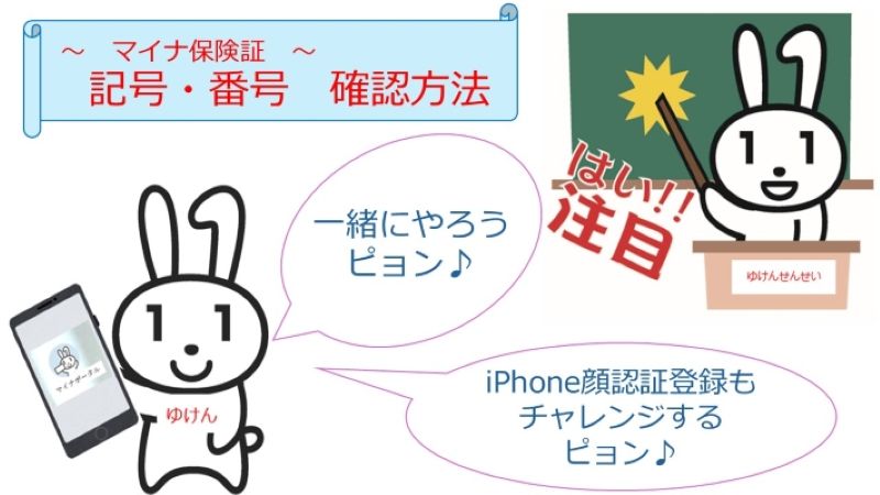マイナ保険証_記号・番号確認方法